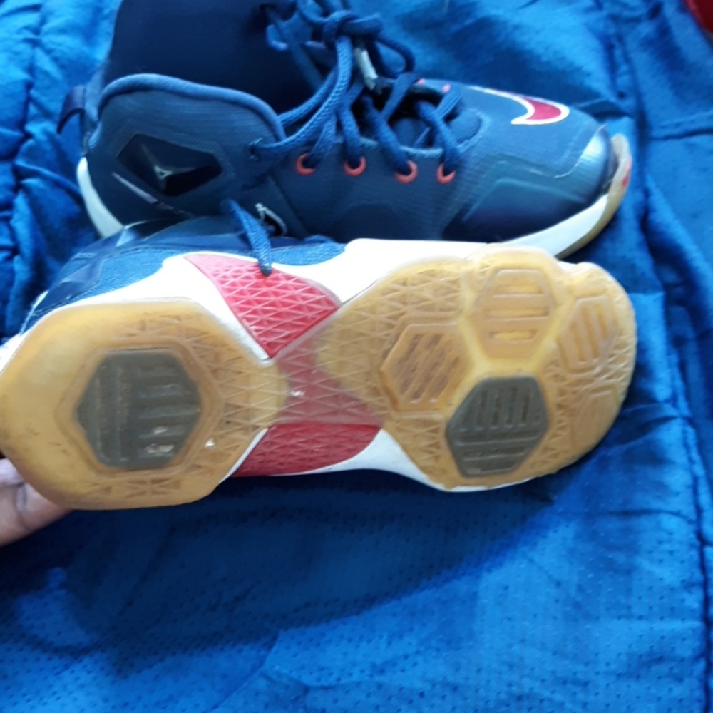 Lebrons - Picture 2 of 4